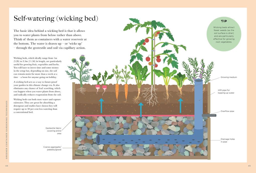 RHS Greener Gardening: Containers: the sustainable guide to growing flowers, shrubs and crops in pots