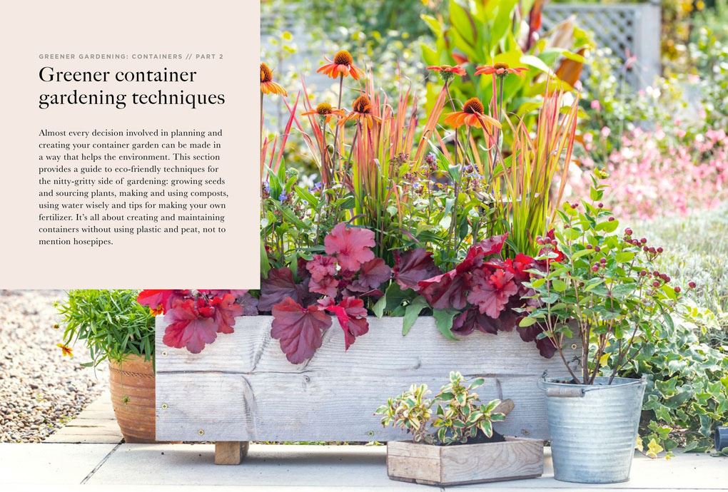 RHS Greener Gardening: Containers: the sustainable guide to growing flowers, shrubs and crops in pots