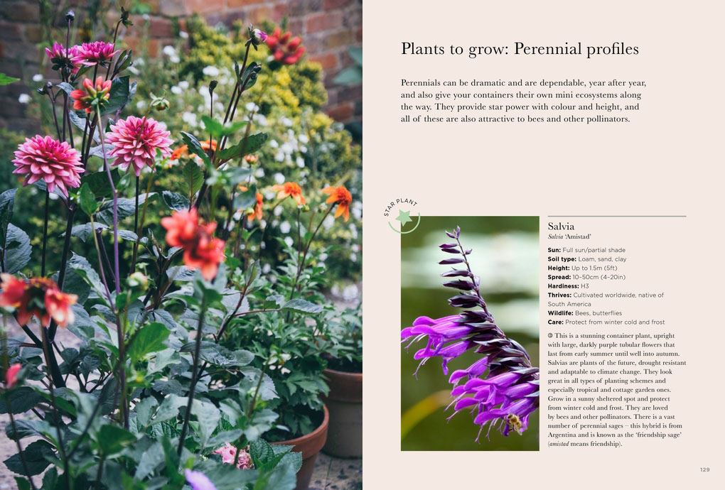 RHS Greener Gardening: Containers: the sustainable guide to growing flowers, shrubs and crops in pots