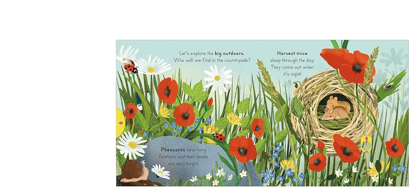 National Trust: Big Outdoors for Little Explorers: Countryside