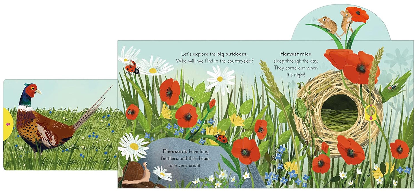 National Trust: Big Outdoors for Little Explorers: Countryside