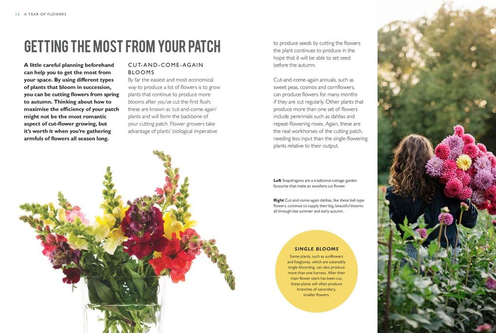 RHS The Little Book of Cut-Flower Gardening: How to grow flowers and foliage sustainably for beautiful arrangements