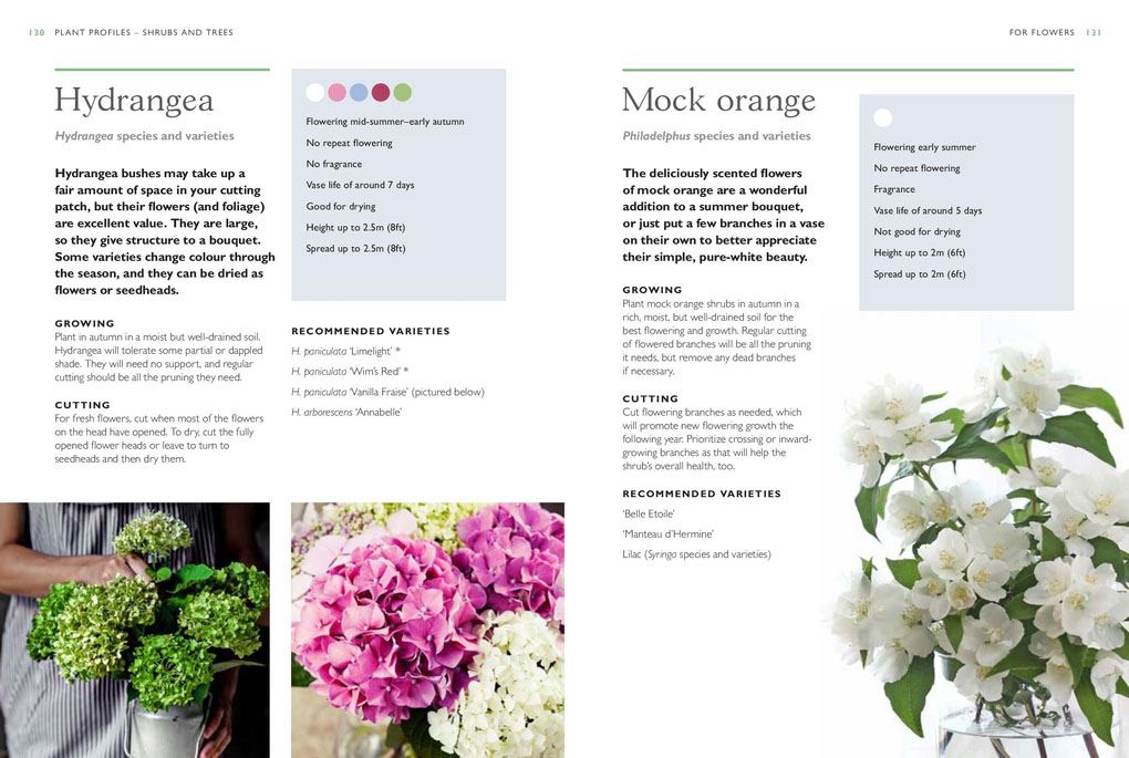 RHS The Little Book of Cut-Flower Gardening: How to grow flowers and foliage sustainably for beautiful arrangements