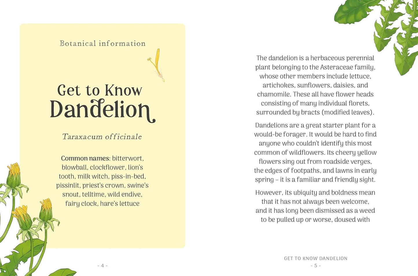 Dandelion: Simple Things to Do With the Plants Around You