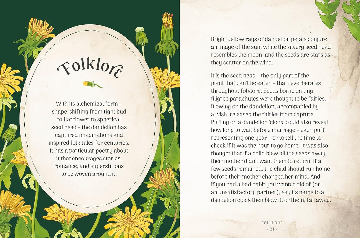Dandelion: Simple Things to Do With the Plants Around You