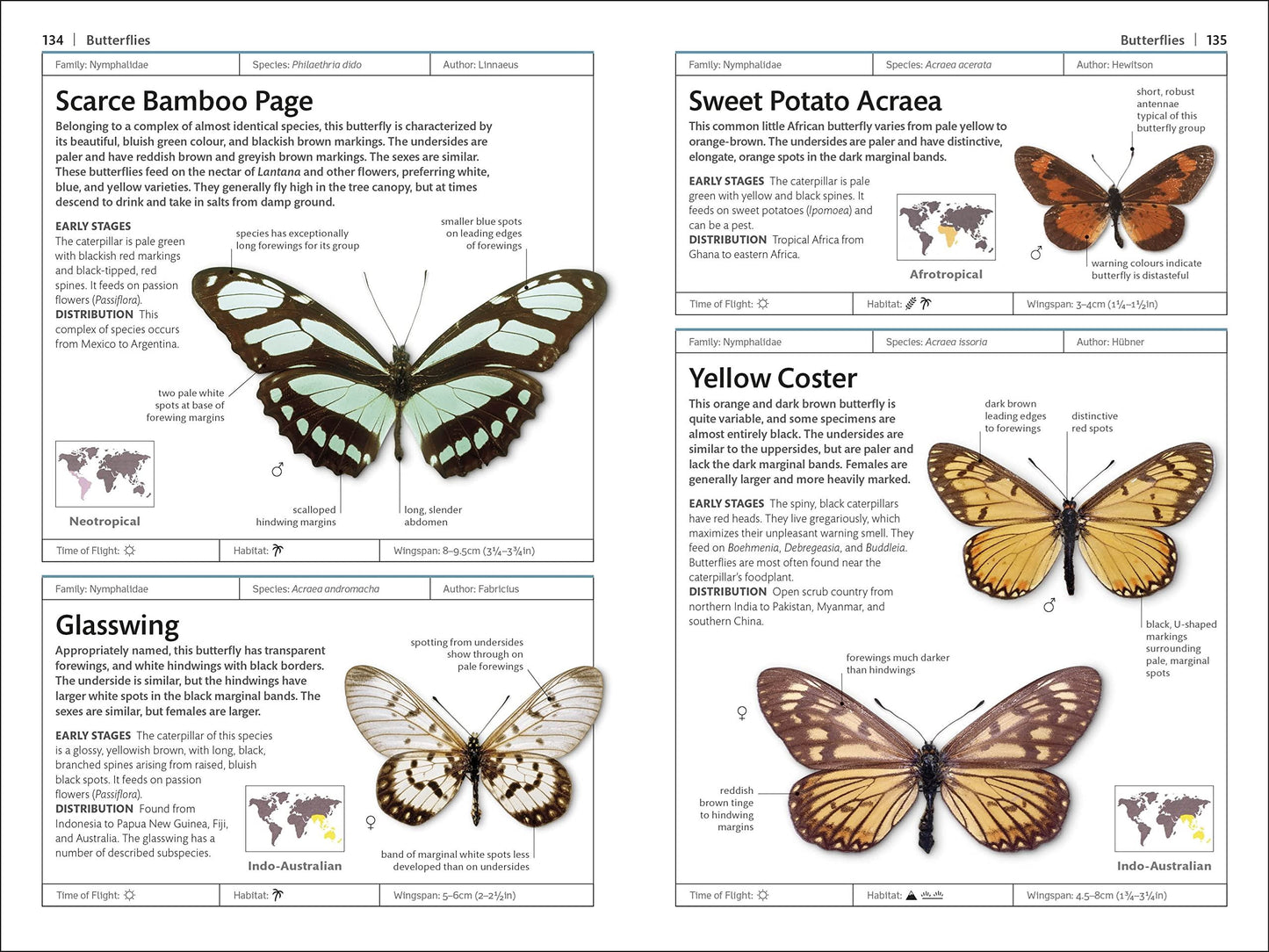 Butterflies and Moths: DK Handbooks