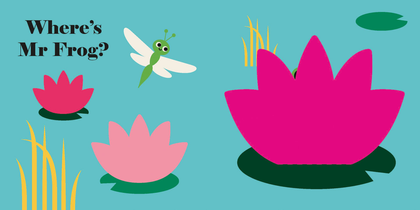 Where's Mr Duck? - Felt Flaps