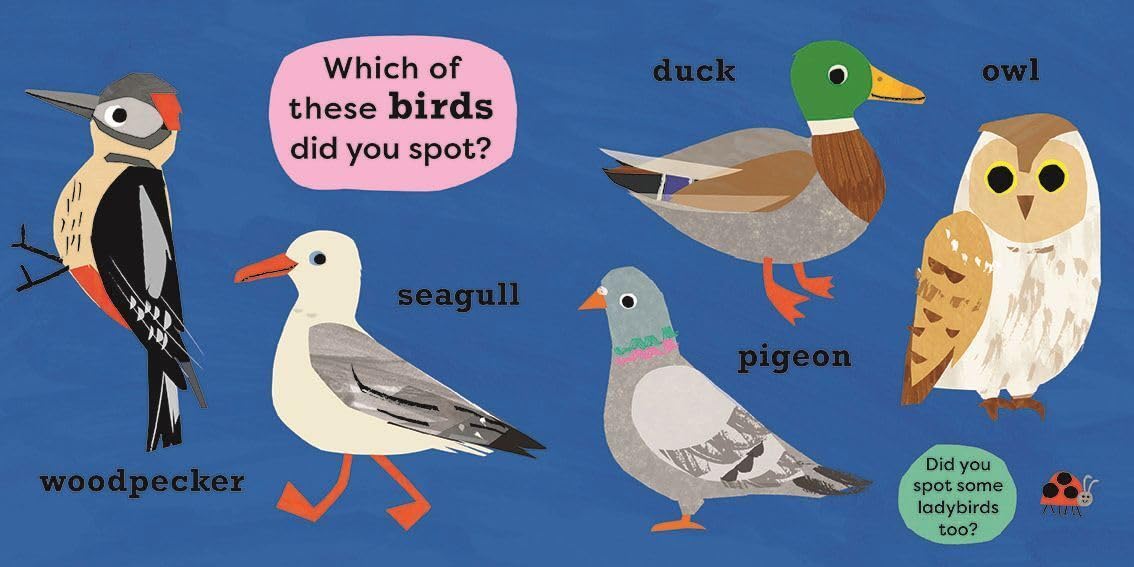 National Trust: My Very First Spotter's Guide: I Spot a Duck