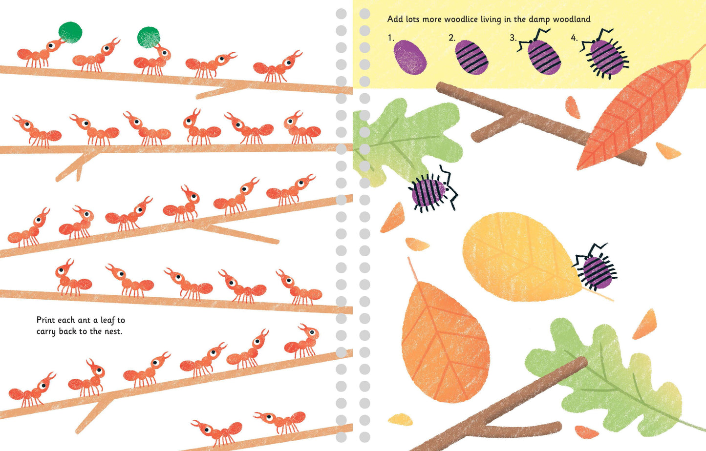 Fingerprint Activities: Bugs