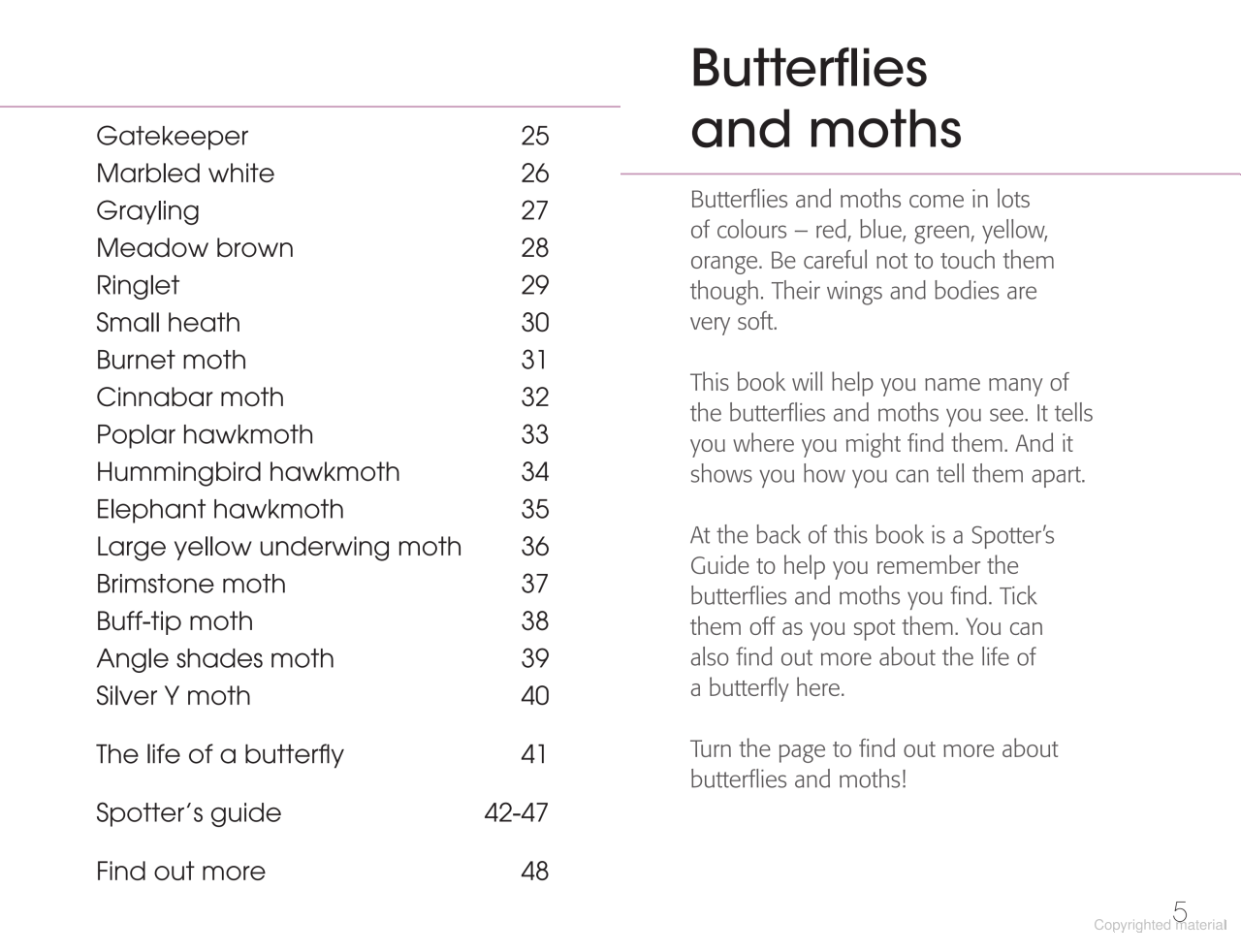 RSPB First Book of Butterflies and Moths