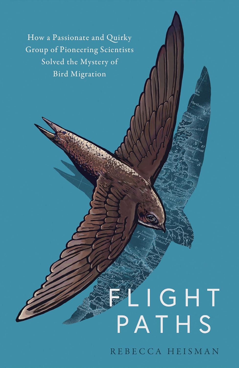 Flight Paths (Bird Migration)