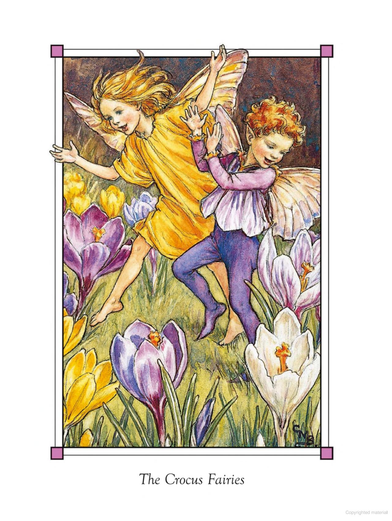 Flower Fairies of the Spring