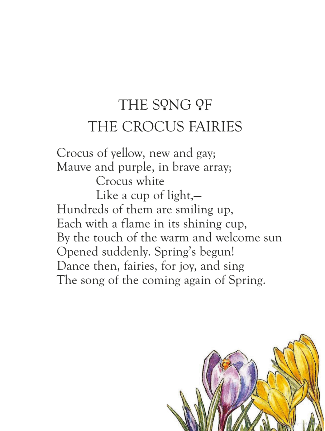 Flower Fairies of the Spring