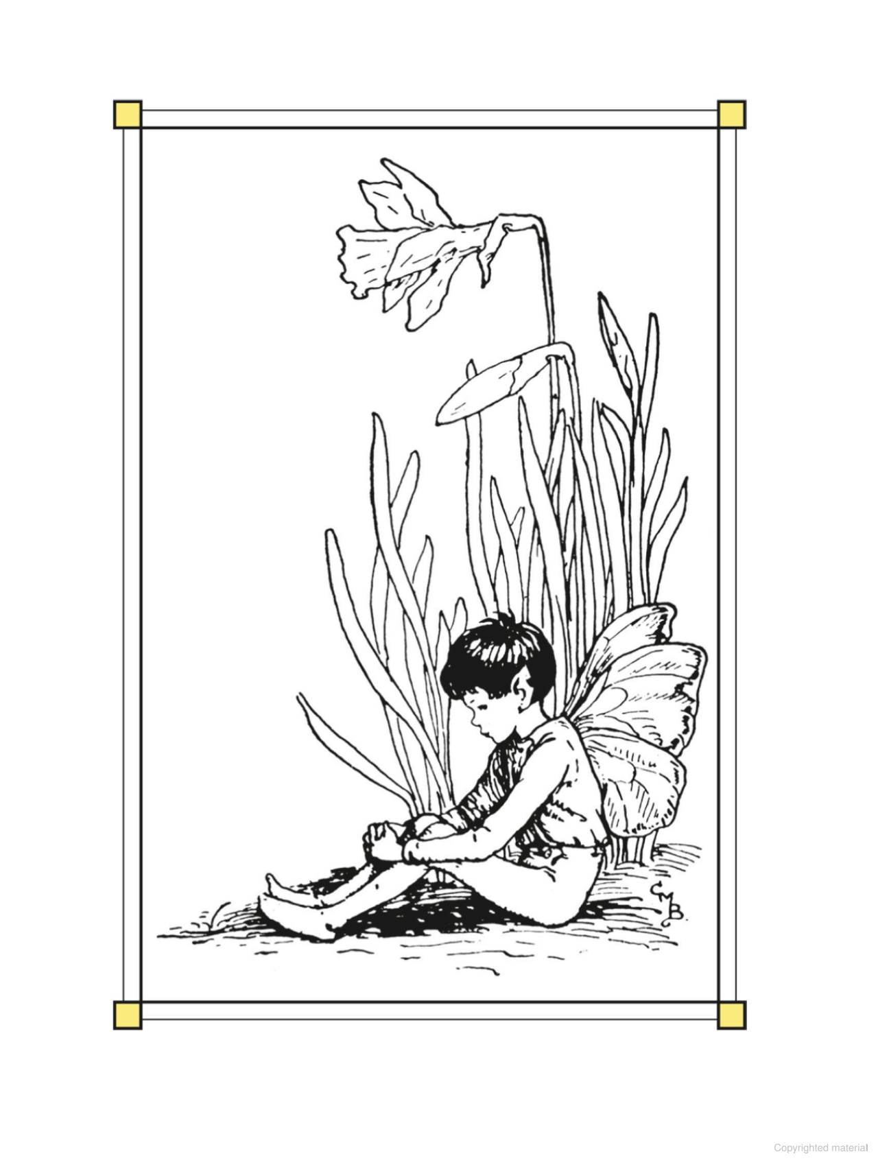Flower Fairies of the Spring