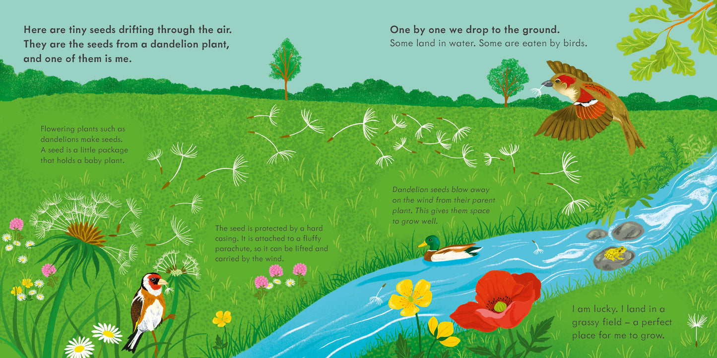 Fluffy, Flying Seed: (Start Small, Think Big)
