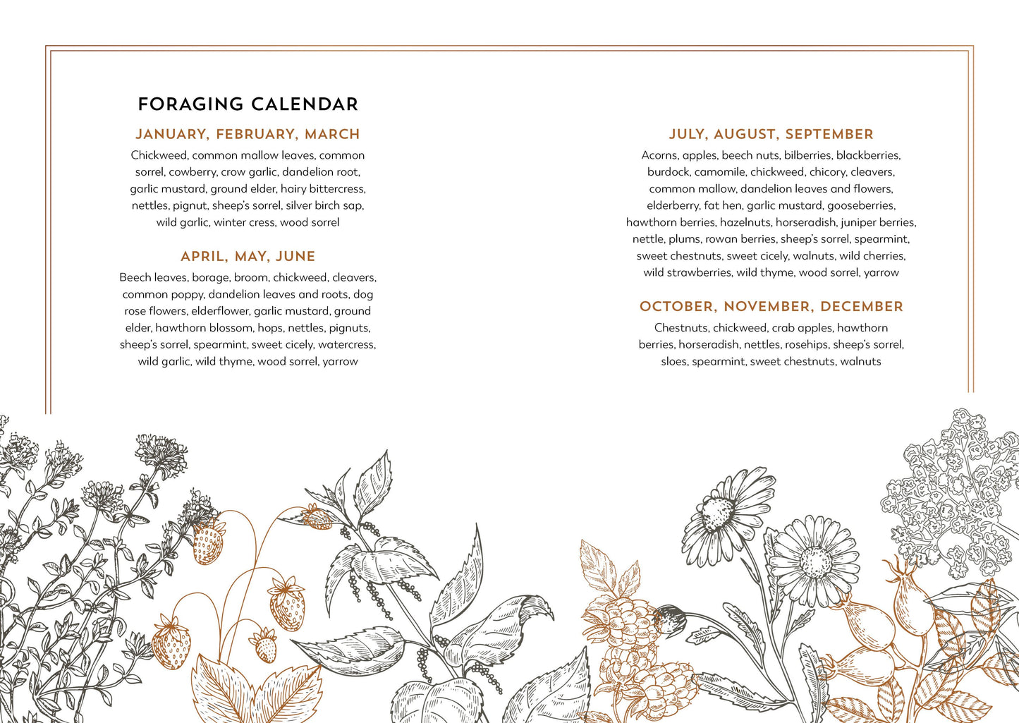 The Hedgerow Apothecary Forager's Handbook