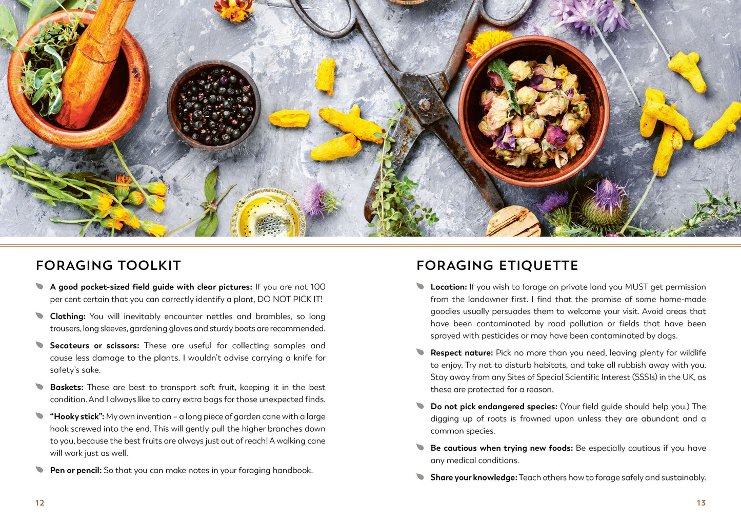 The Hedgerow Apothecary Forager's Handbook