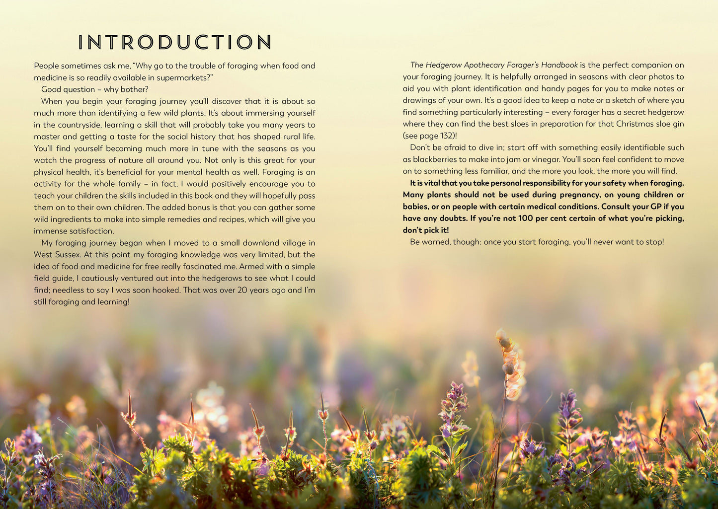 The Hedgerow Apothecary Forager's Handbook