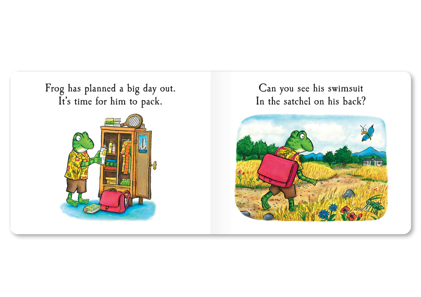 Frog's Day Out: A Lift-the-flap book (Tales From Acorn Wood)