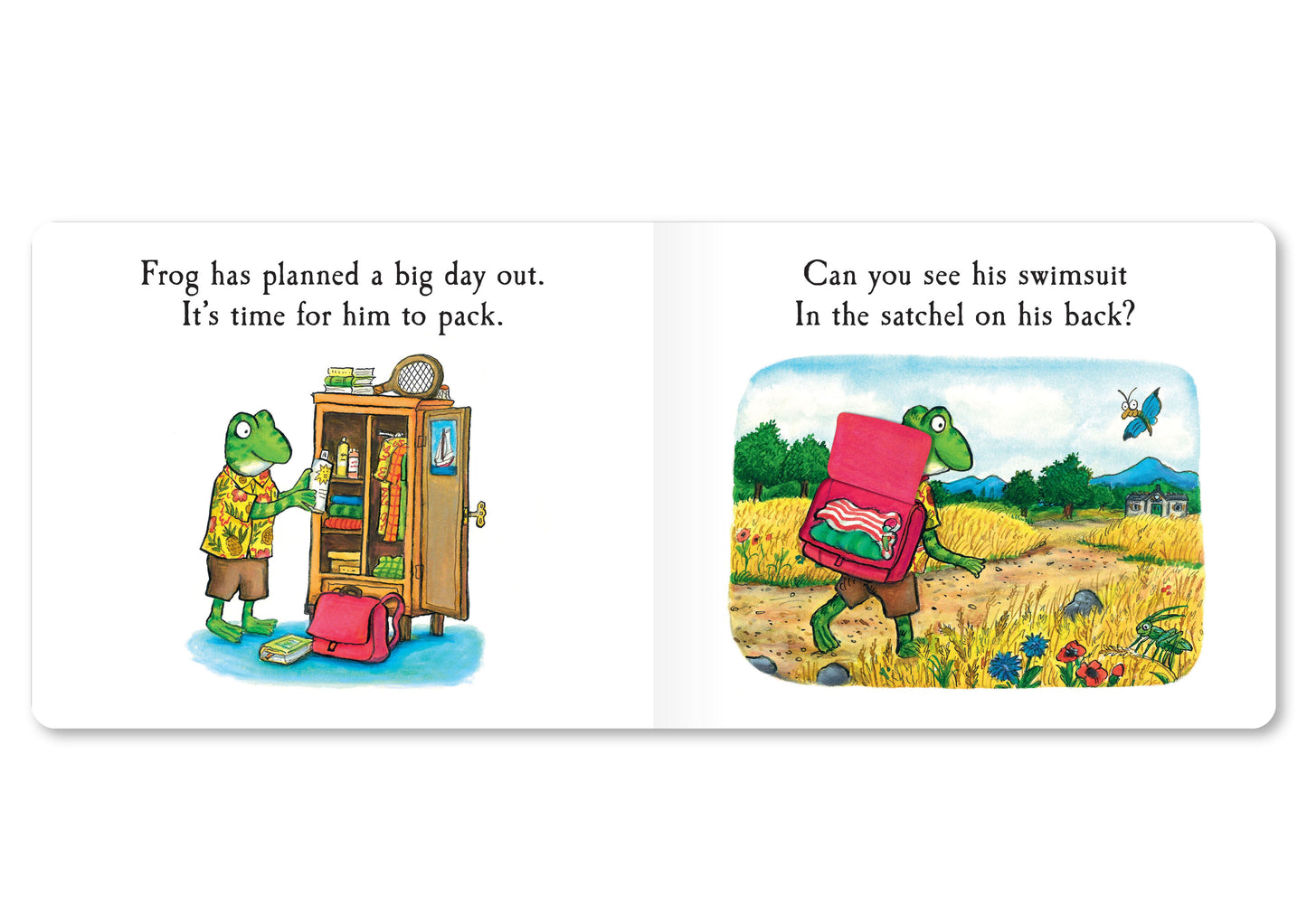 Frog's Day Out: A Lift-the-flap book (Tales From Acorn Wood)