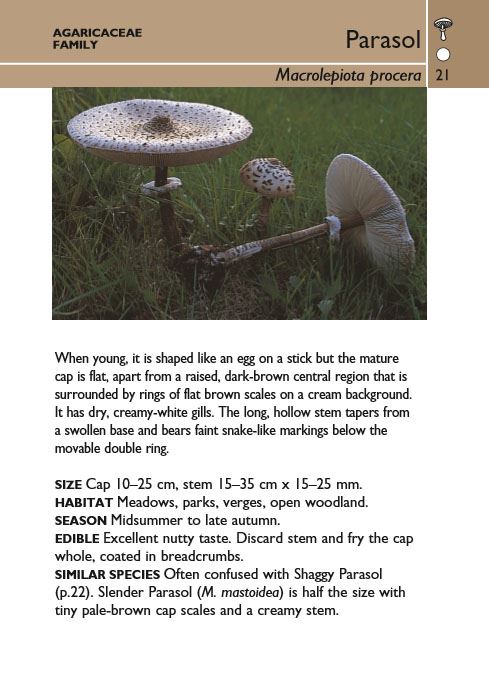 Mushrooms (Collins Gem)