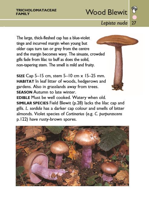 Mushrooms (Collins Gem)