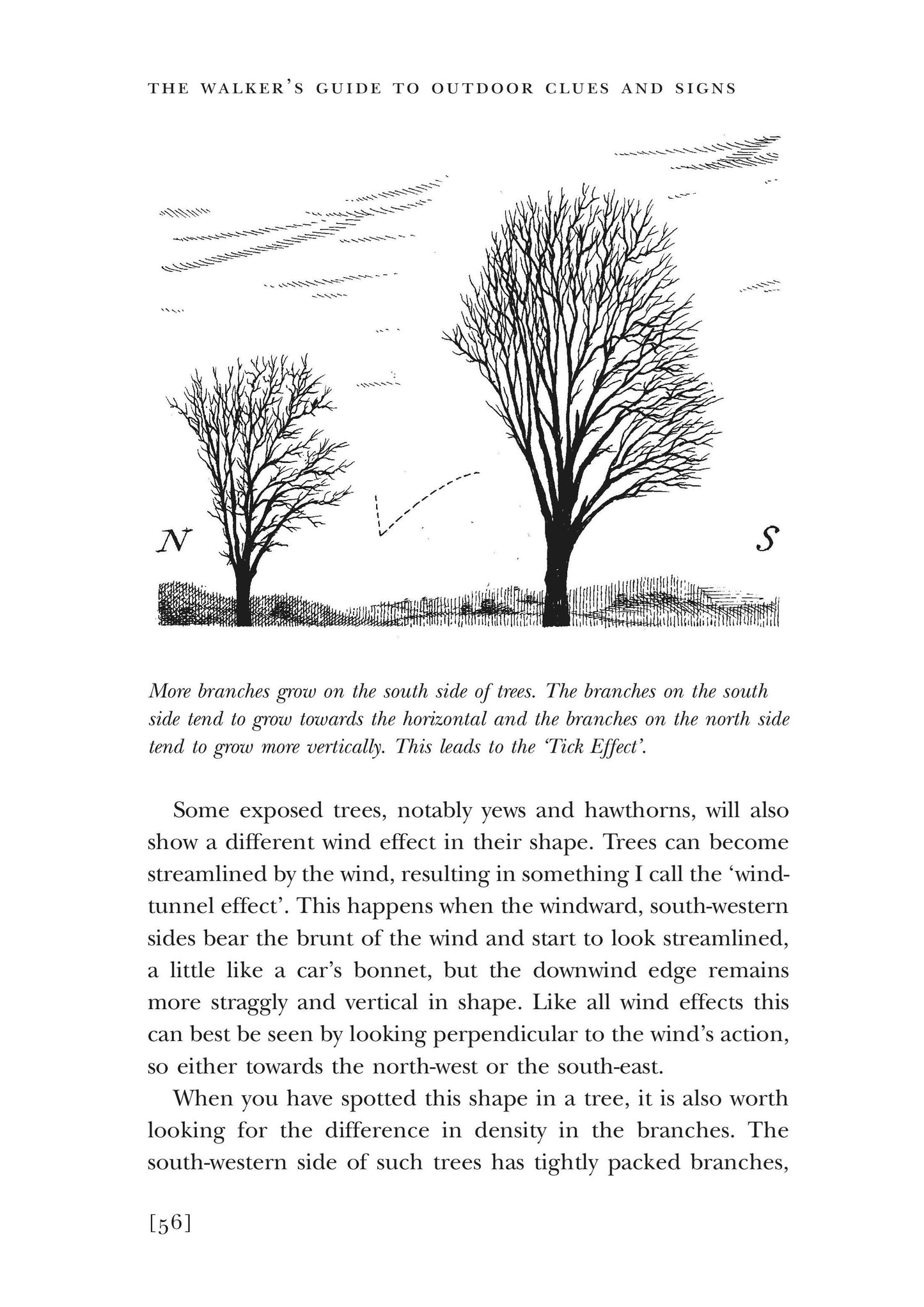 The Walker's Guide to Outdoor Clues and Signs