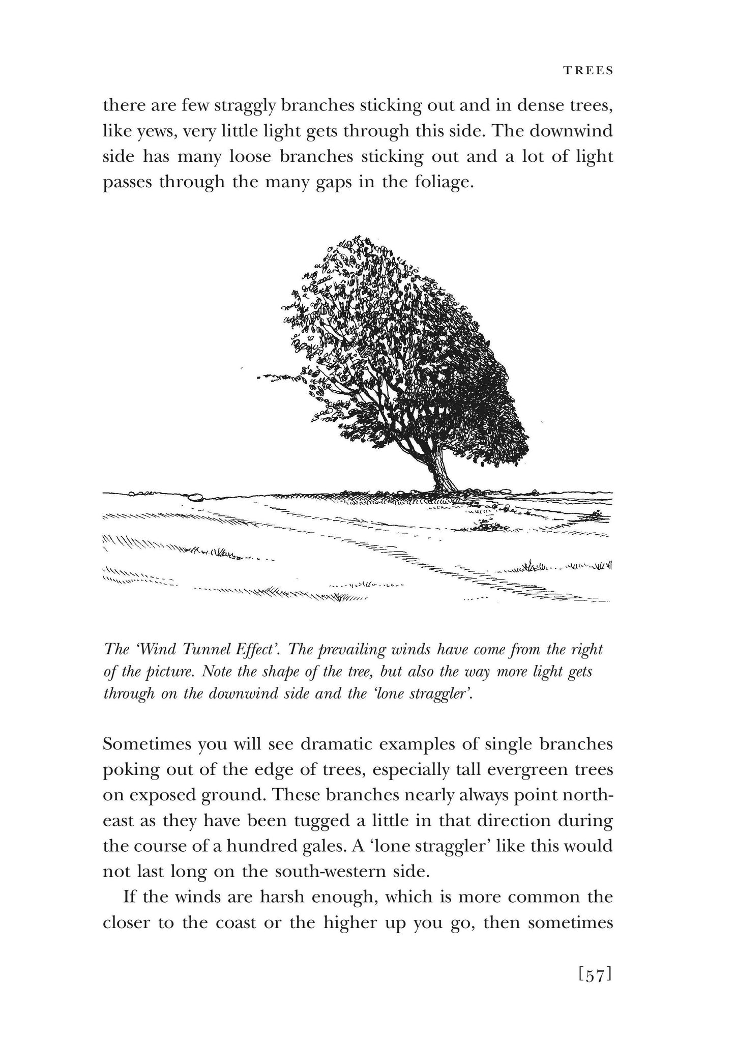 The Walker's Guide to Outdoor Clues and Signs