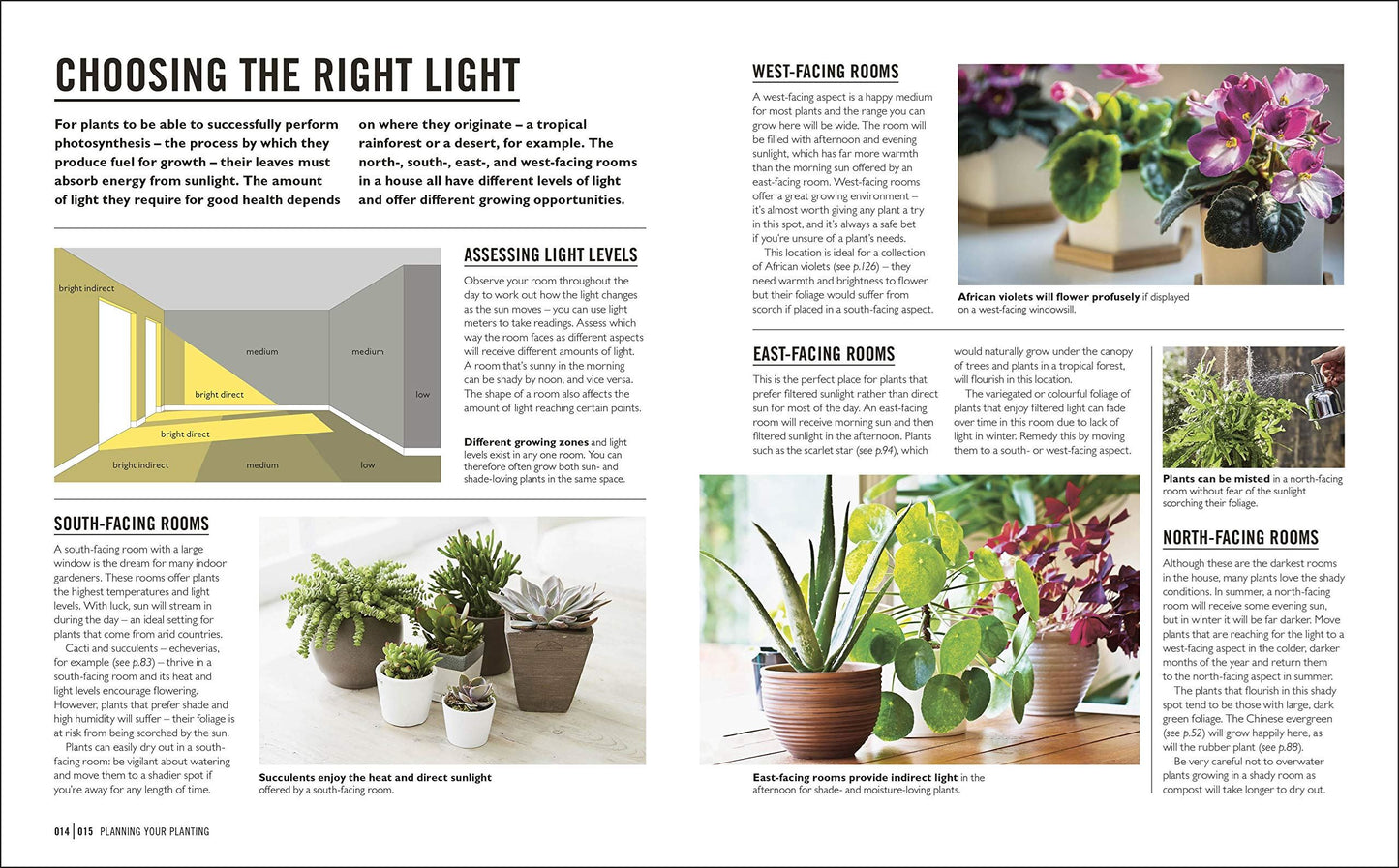 DK Grow: Houseplants