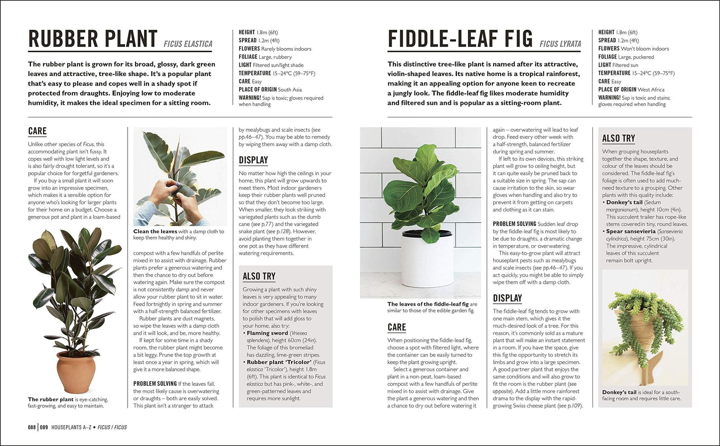 DK Grow: Houseplants