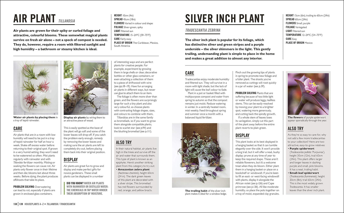 DK Grow: Houseplants