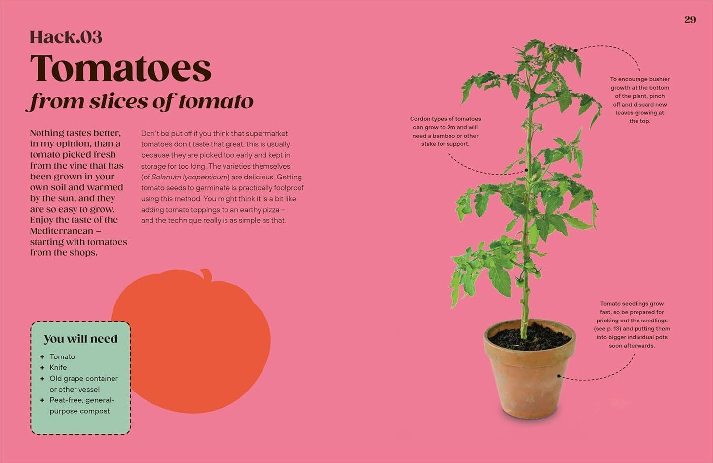 Grow Your Groceries: 40 Hacks for Growing Plants from Your Weekly Shop