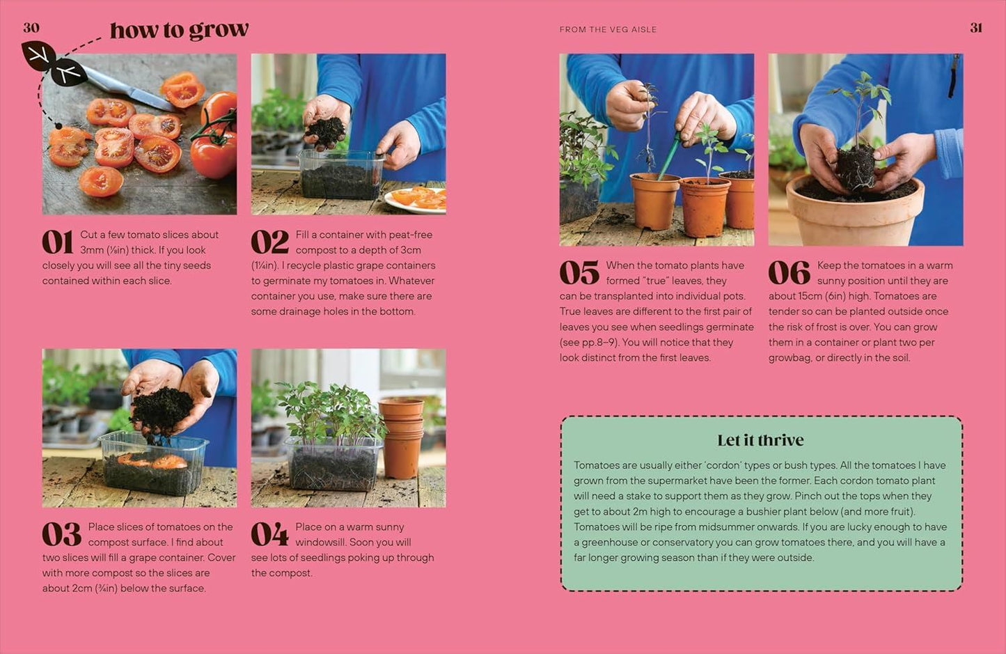 Grow Your Groceries: 40 Hacks for Growing Plants from Your Weekly Shop