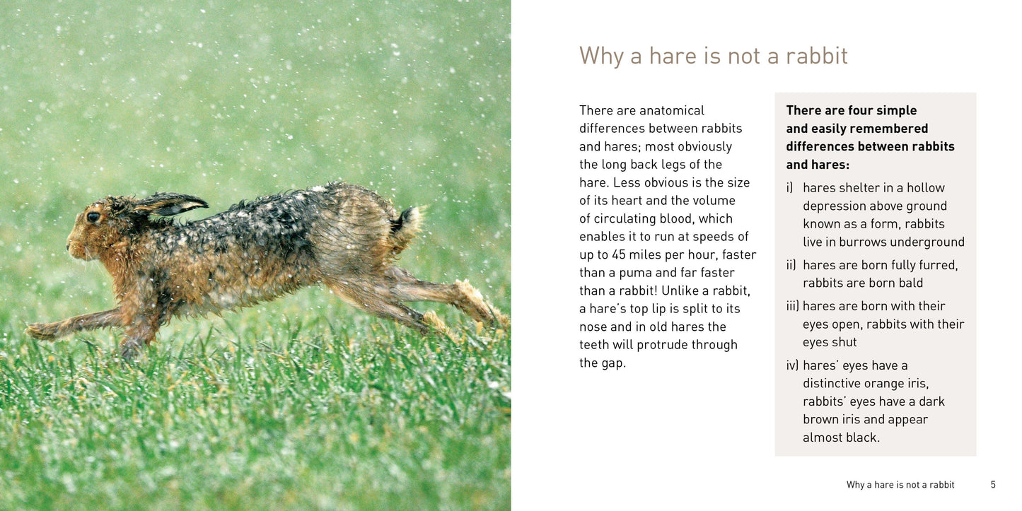 The Hare Book