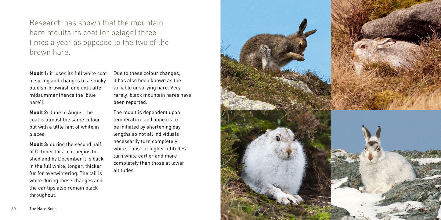The Hare Book