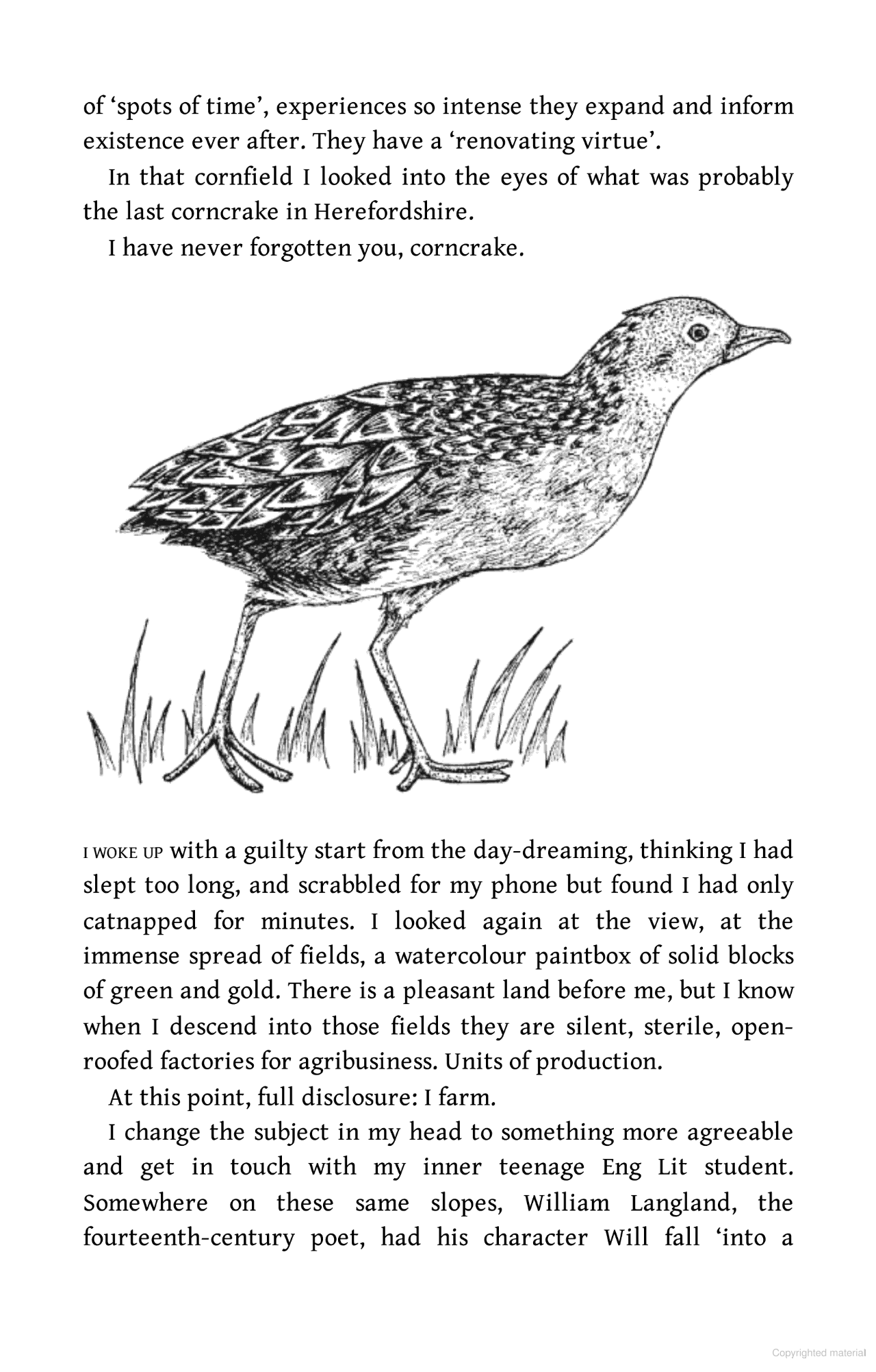 The Running Hare: The Secret Life of Farmland