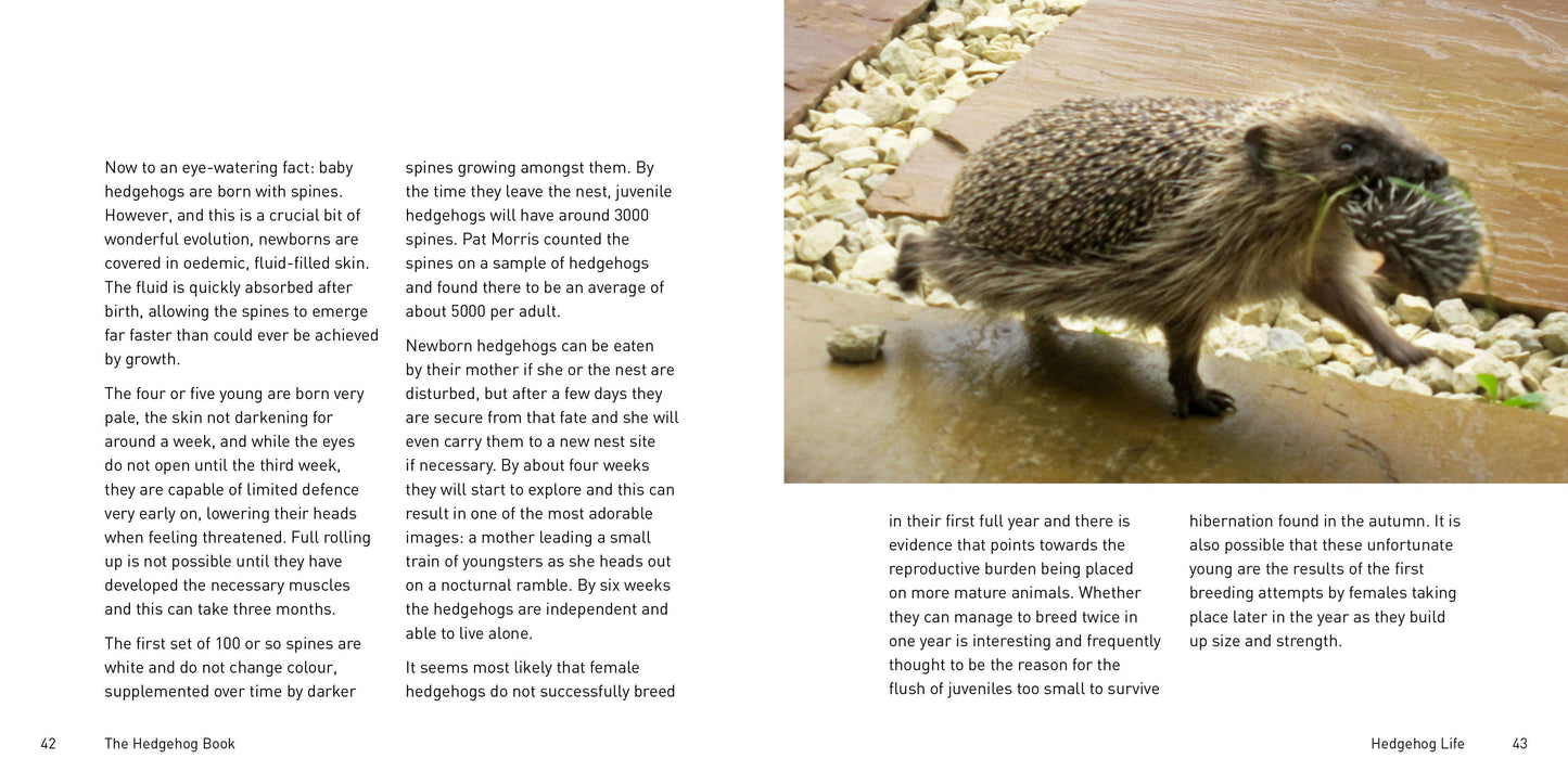 The Hedgehog Book