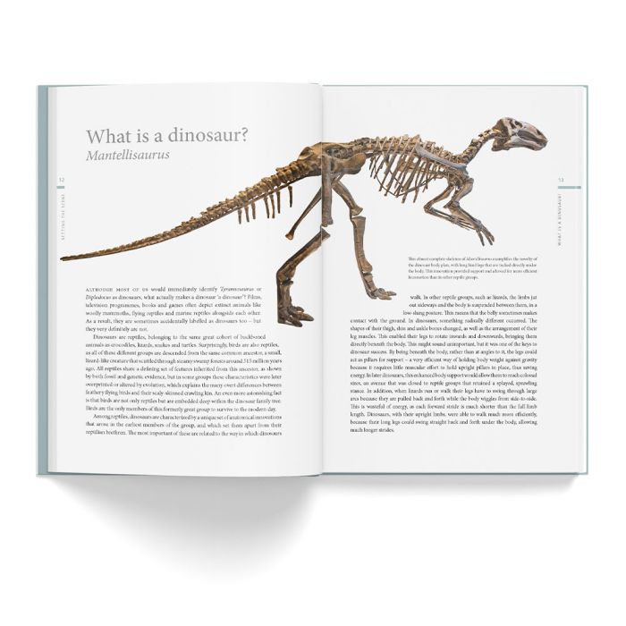 A History of Dinosaurs in 50 Fossils
