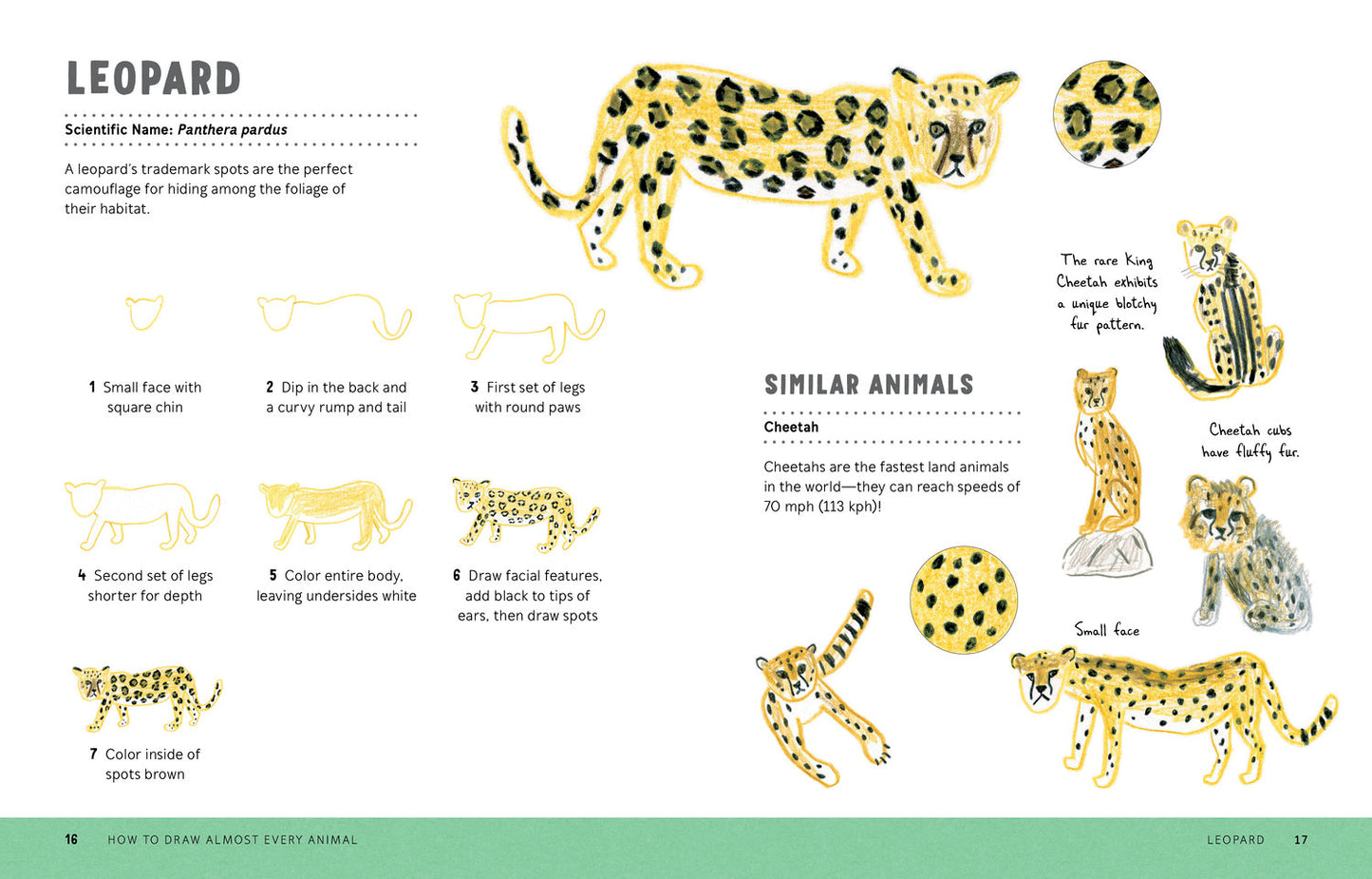 How to Draw Almost Every Animal: An Illustrated Sourcebook