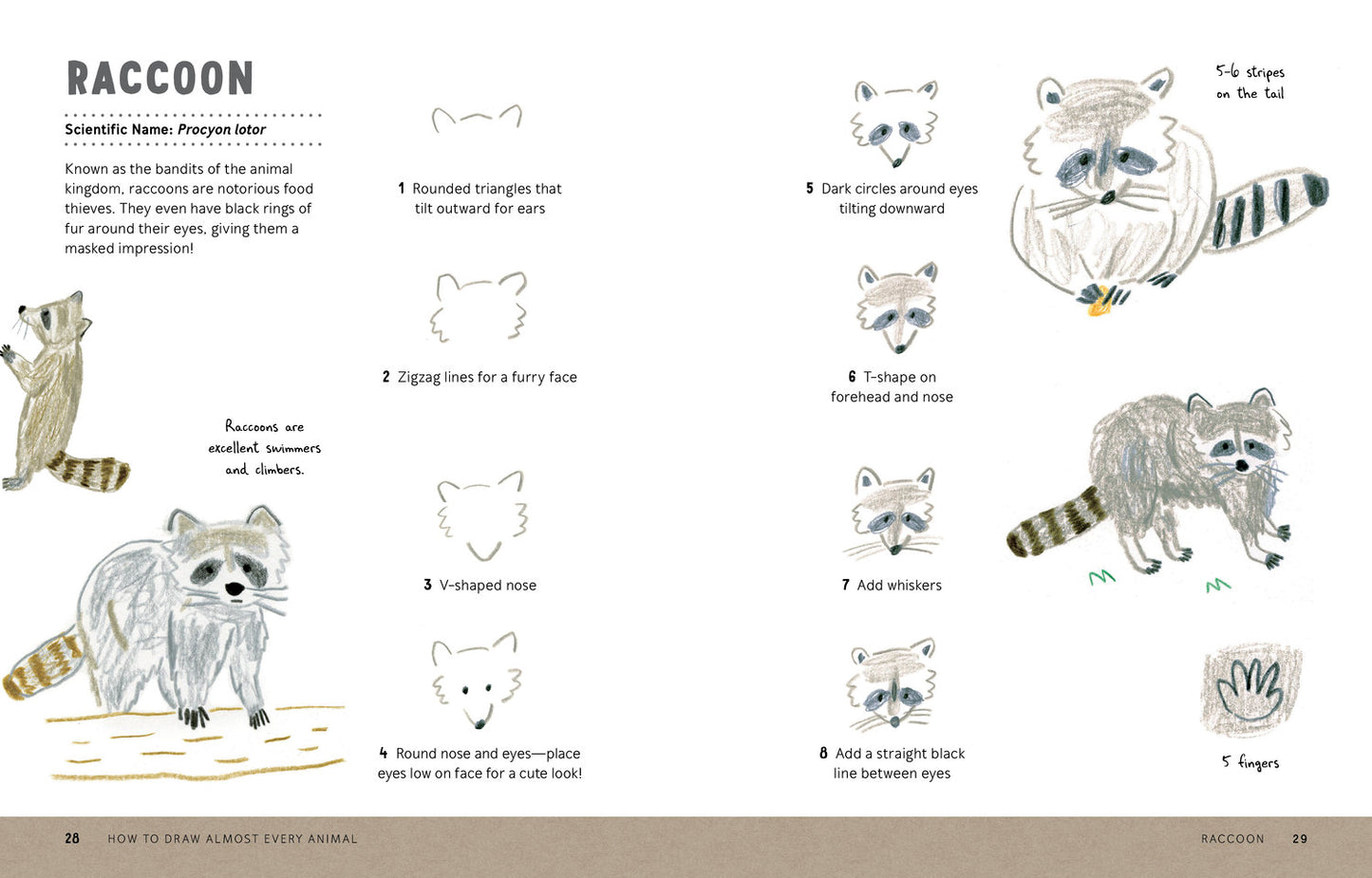 How to Draw Almost Every Animal: An Illustrated Sourcebook