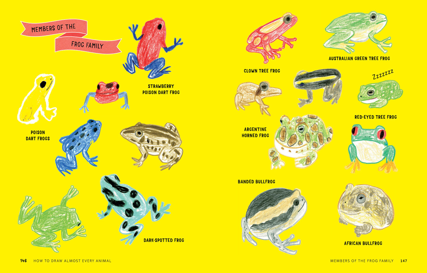 How to Draw Almost Every Animal: An Illustrated Sourcebook