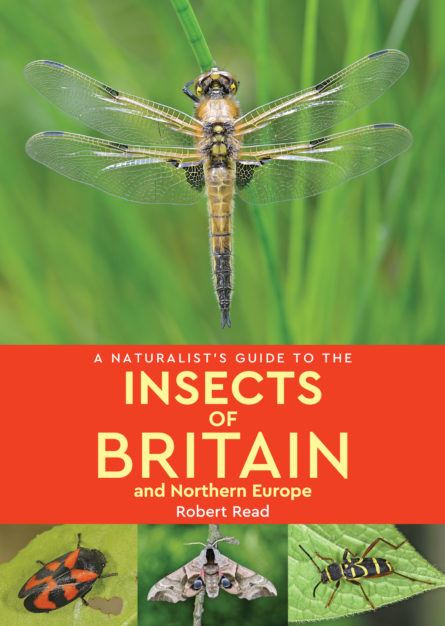Naturalist's Guide to the Insects of Britain