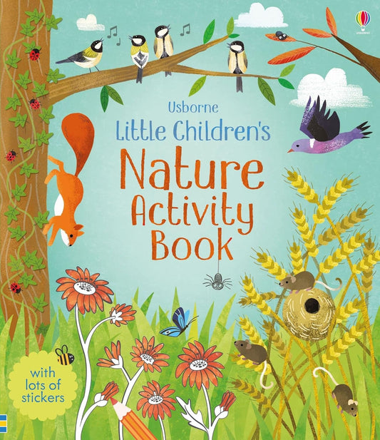 Little Children's Nature Activity Book (Usborne)