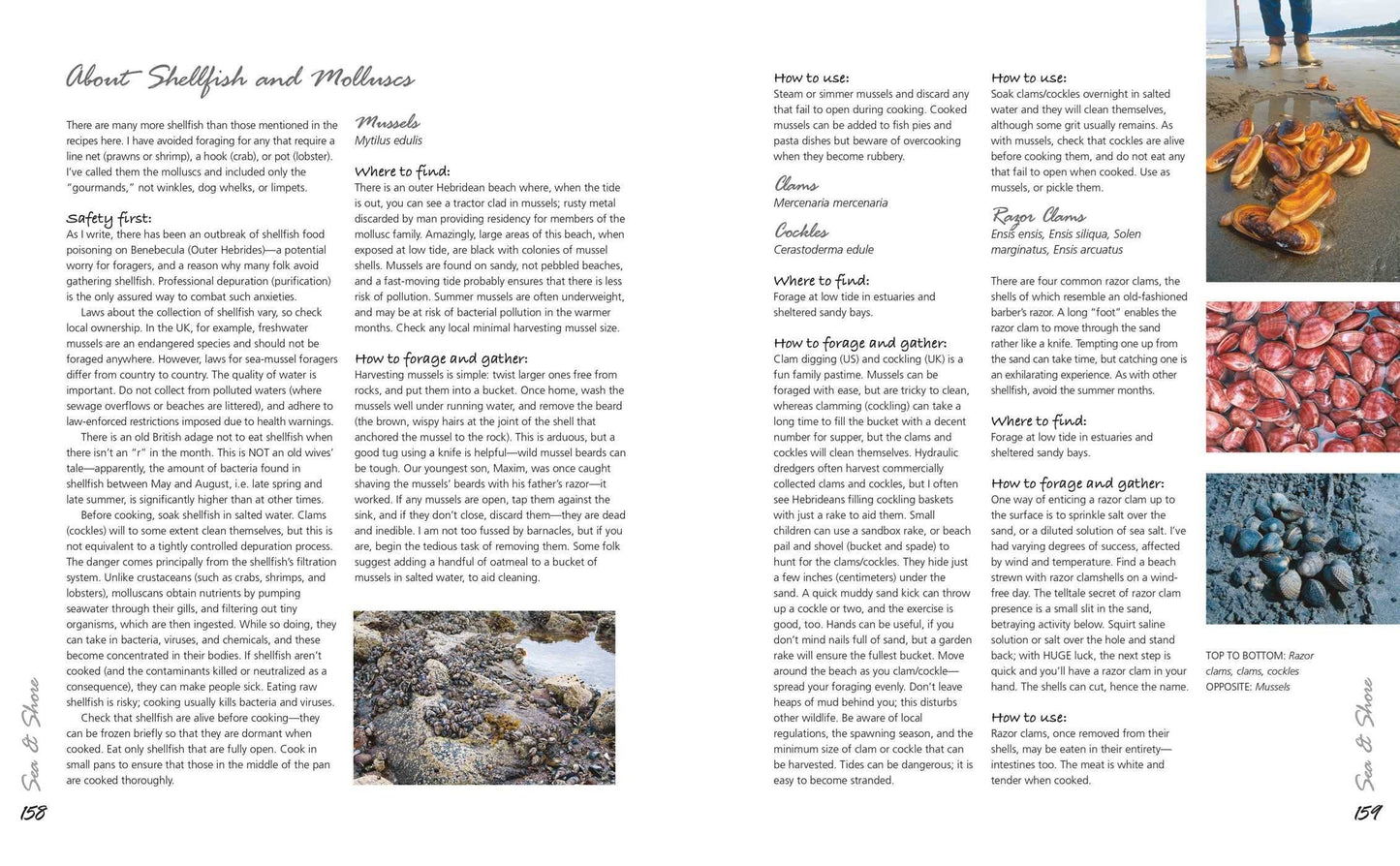 The Forager’s Kitchen Handbook