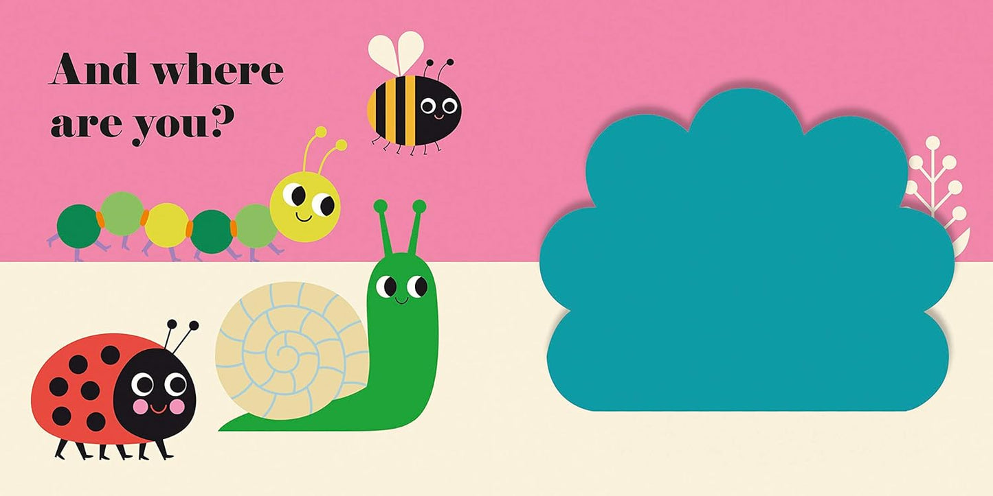 Where's Mrs Ladybird? - Felt Flaps
