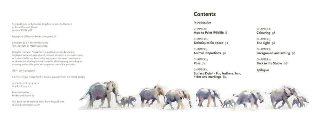 Learn to Paint Wildlife Quickly