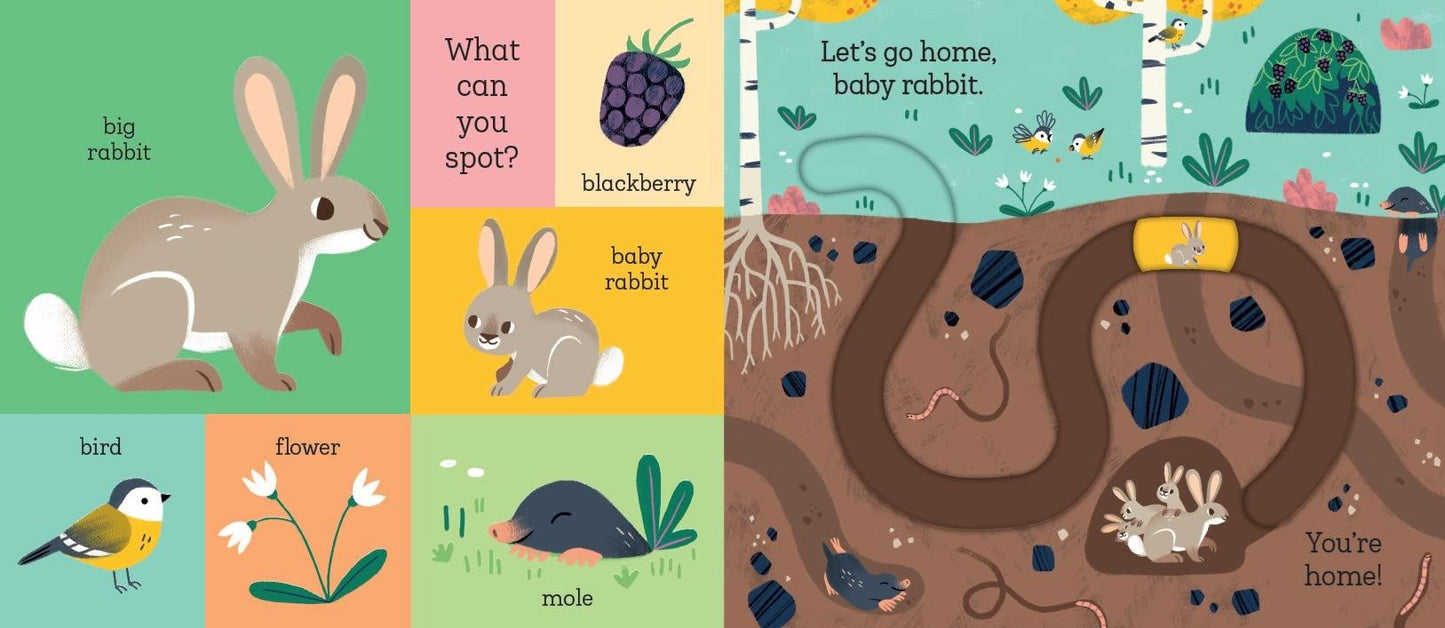 Let's Go Home, Baby Rabbit