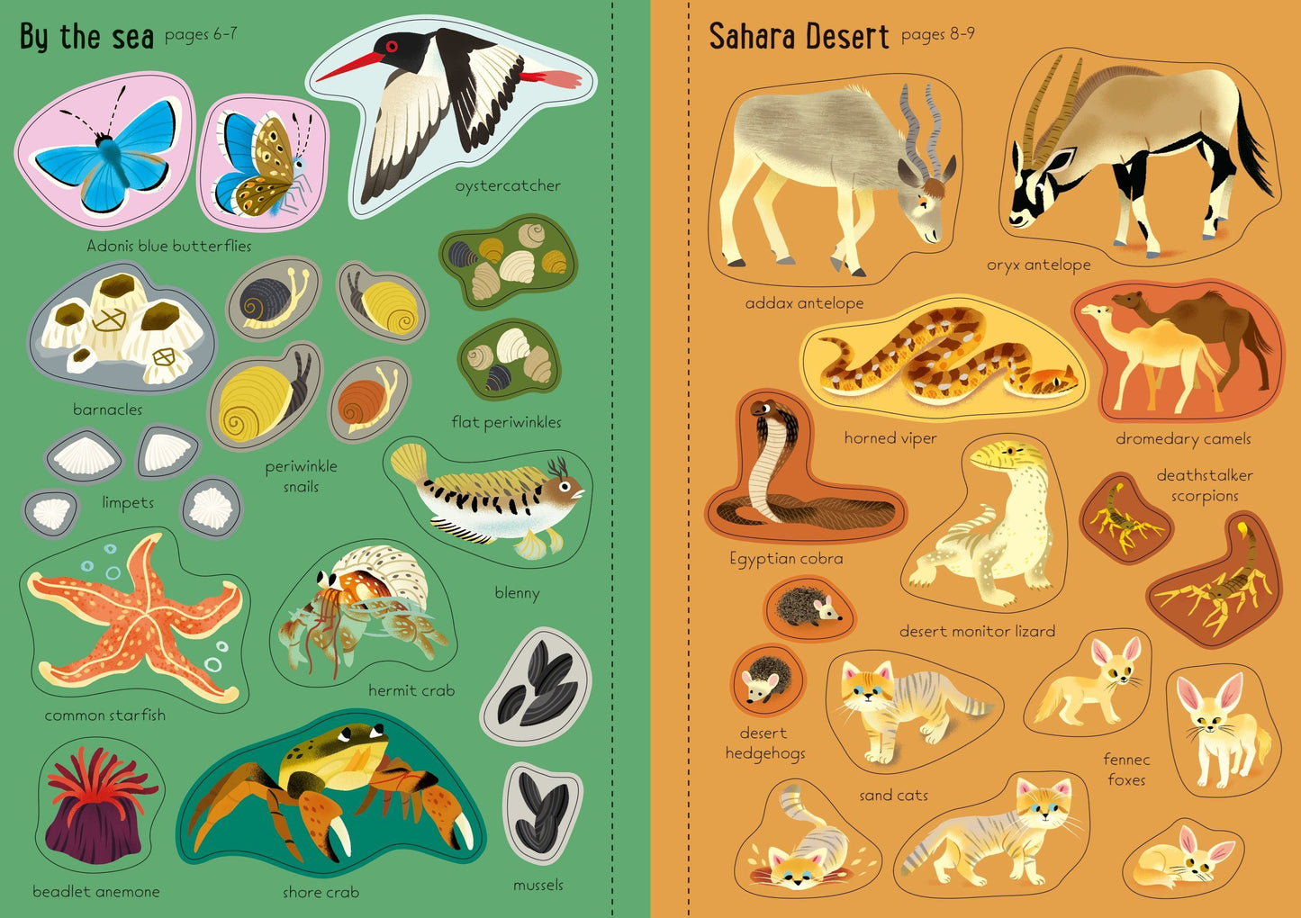 Little First Stickers Nature