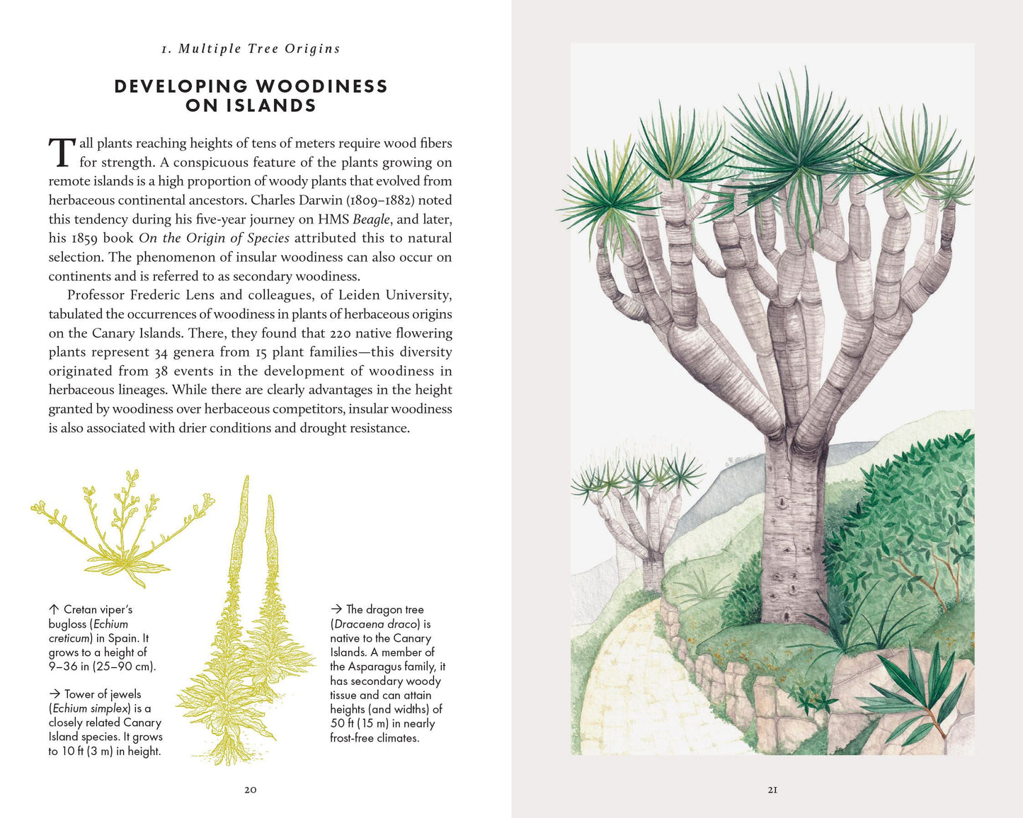 The Little Book of Trees