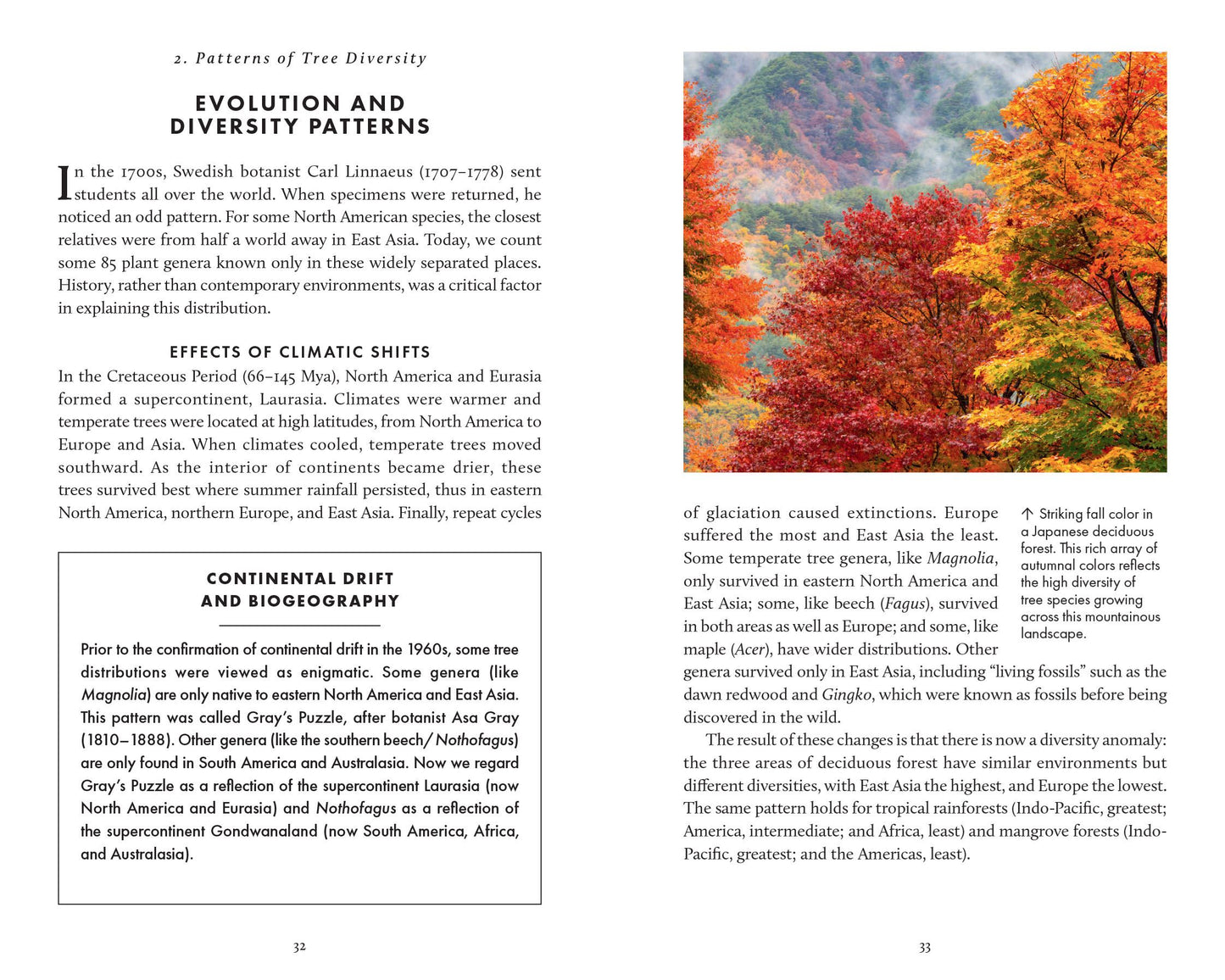 The Little Book of Trees